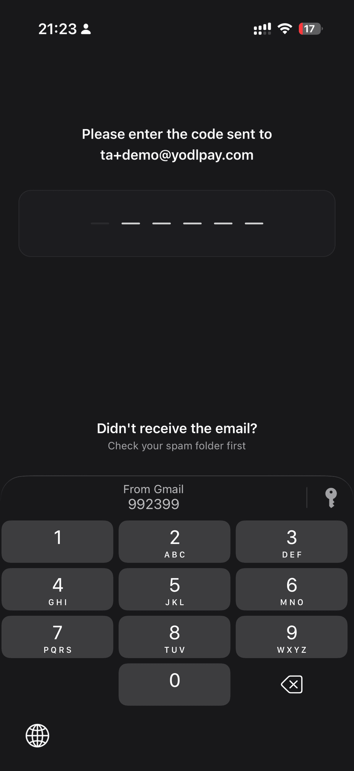 Verification code entry screen