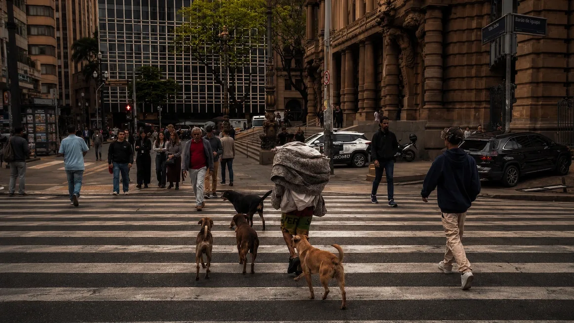 A crosswalk in central São Paulo, street dogs leading the way