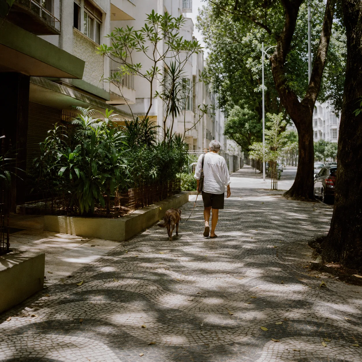 A quiet residential street in Botafogo, Rio de Janeiro, lined with low apartment buildings and trees
