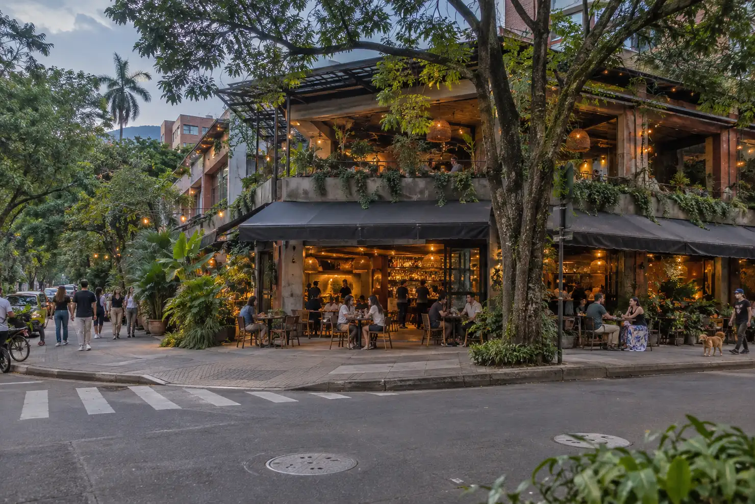 A two-story café and restaurant on a tree-lined Medellín street corner at dusk, string lights and trailing plants along the upper balcony, and people seated at outdoor tables on the sidewalk below.