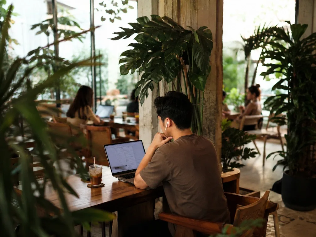 A person works on a laptop in a plant-filled Ho Chi Minh City cafe